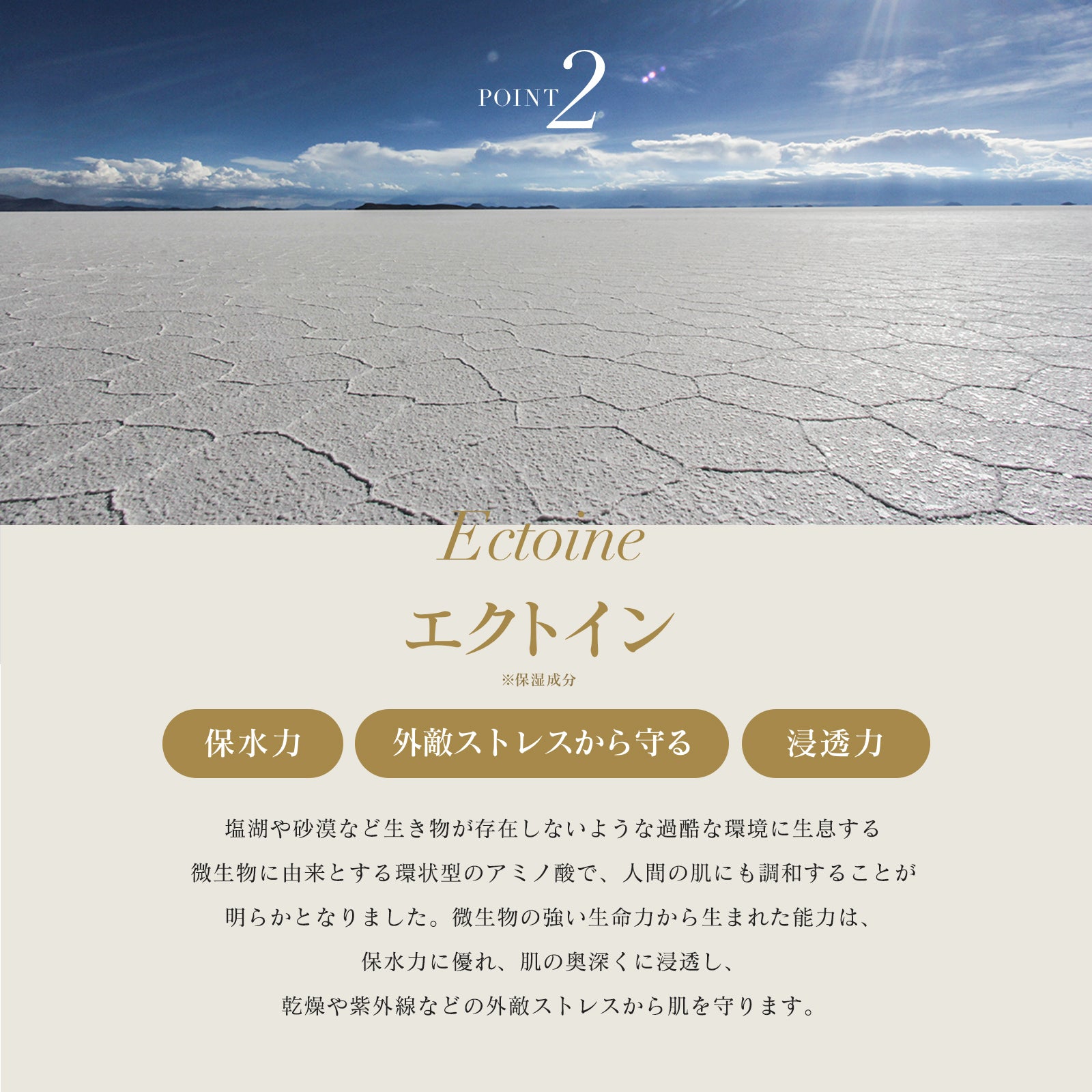 INNATUS｜BALMY LOTION Ⅱ – イナータスオンラインストア
