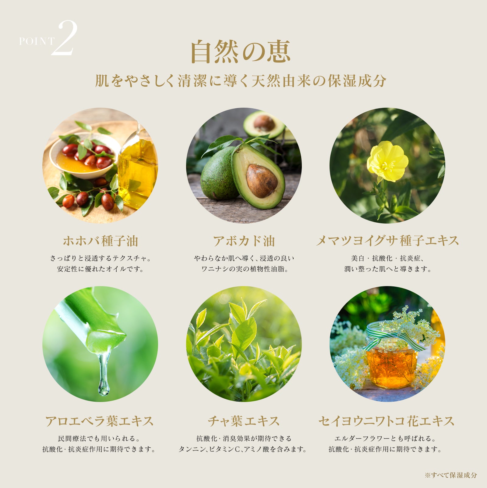 INNATUS｜CLEANSING LOTION II – イナータスオンラインストア
