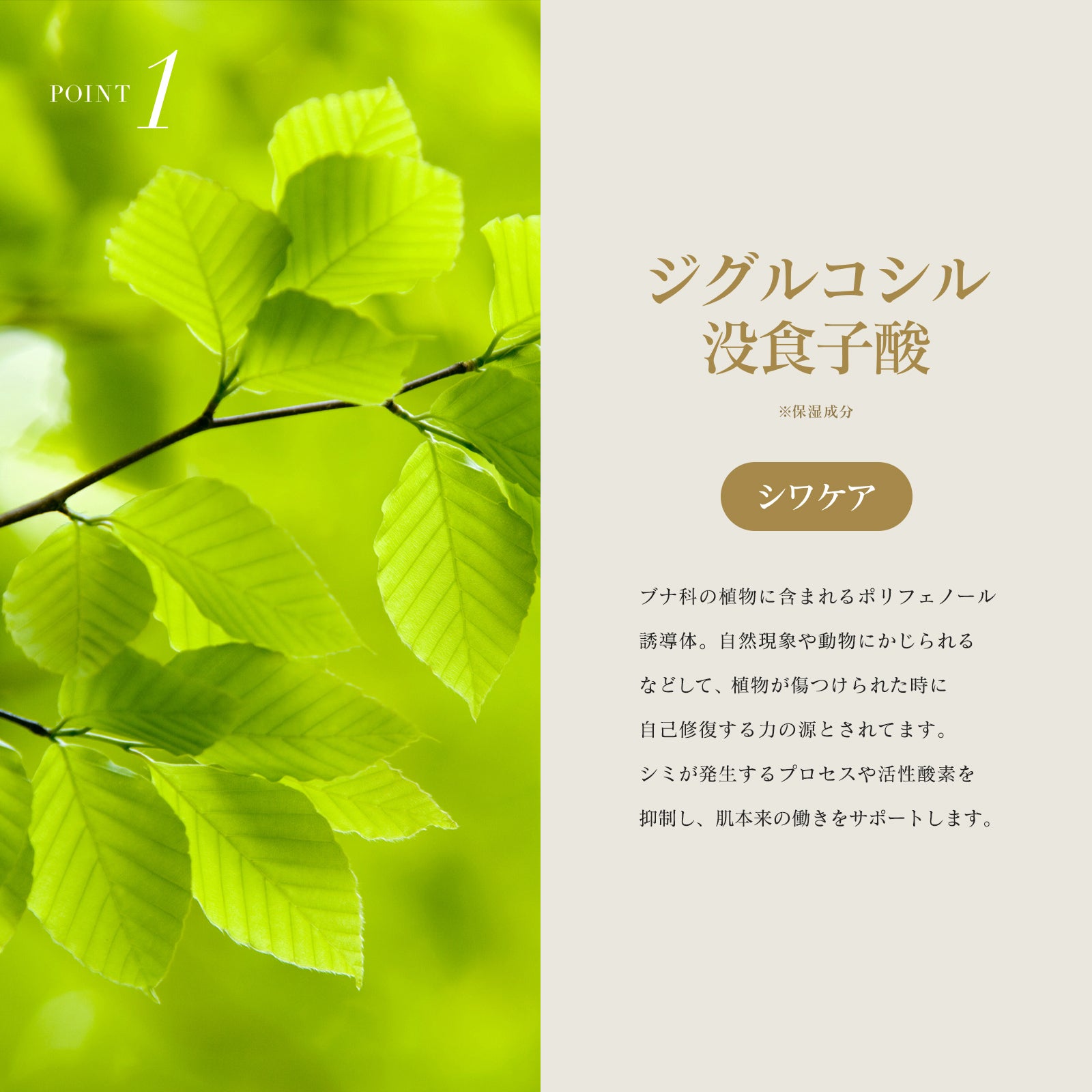 INNATUS｜REFRESHING CREAM – イナータスオンラインストア