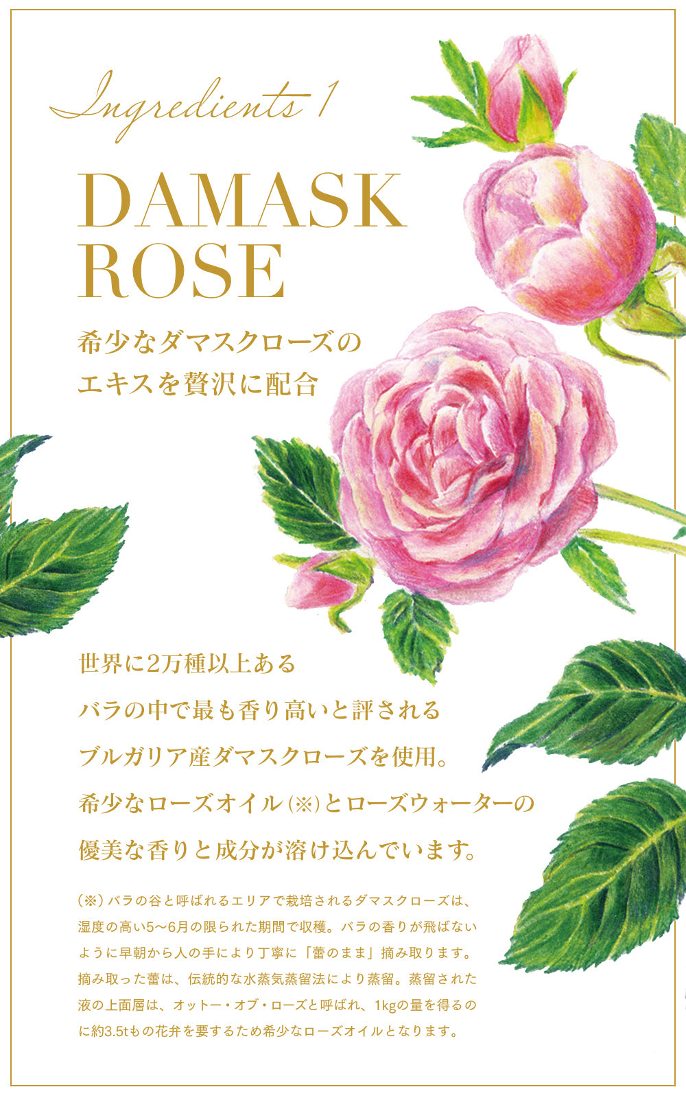 INNATUS｜ROSE CONDITIONER – イナータスオンラインストア