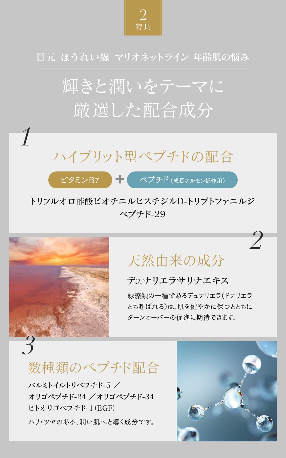 INNATUS｜REHACER – イナータスオンラインストア