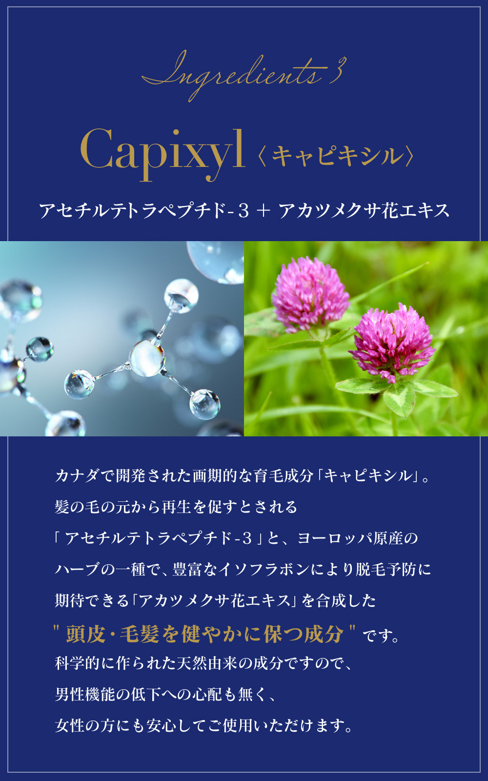 INNATUS｜ROSE SHAMPOO – イナータスオンラインストア
