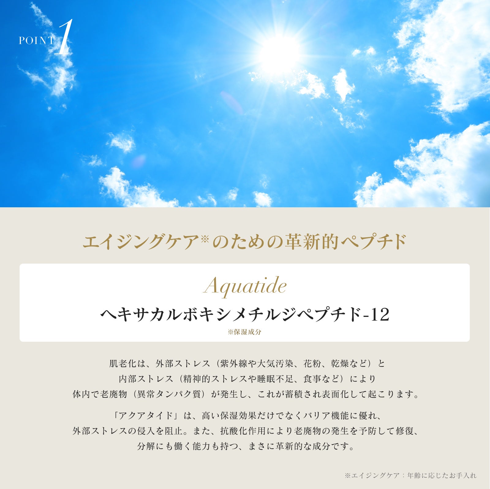 INNATUS｜SOL-CLAUDELE A+B – イナータスオンラインストア
