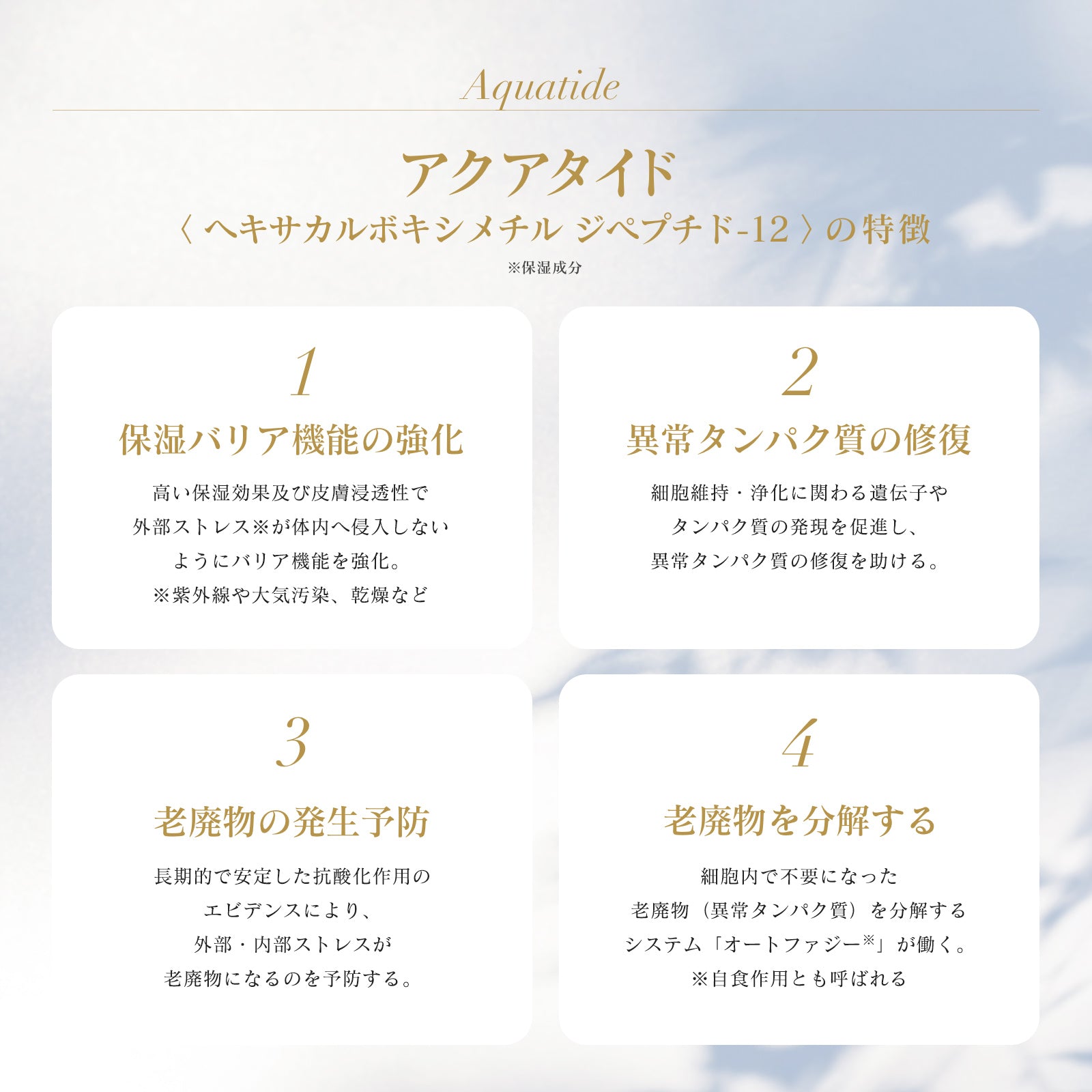 INNATUS｜SOL-CLAUDELE A+B – イナータスオンラインストア
