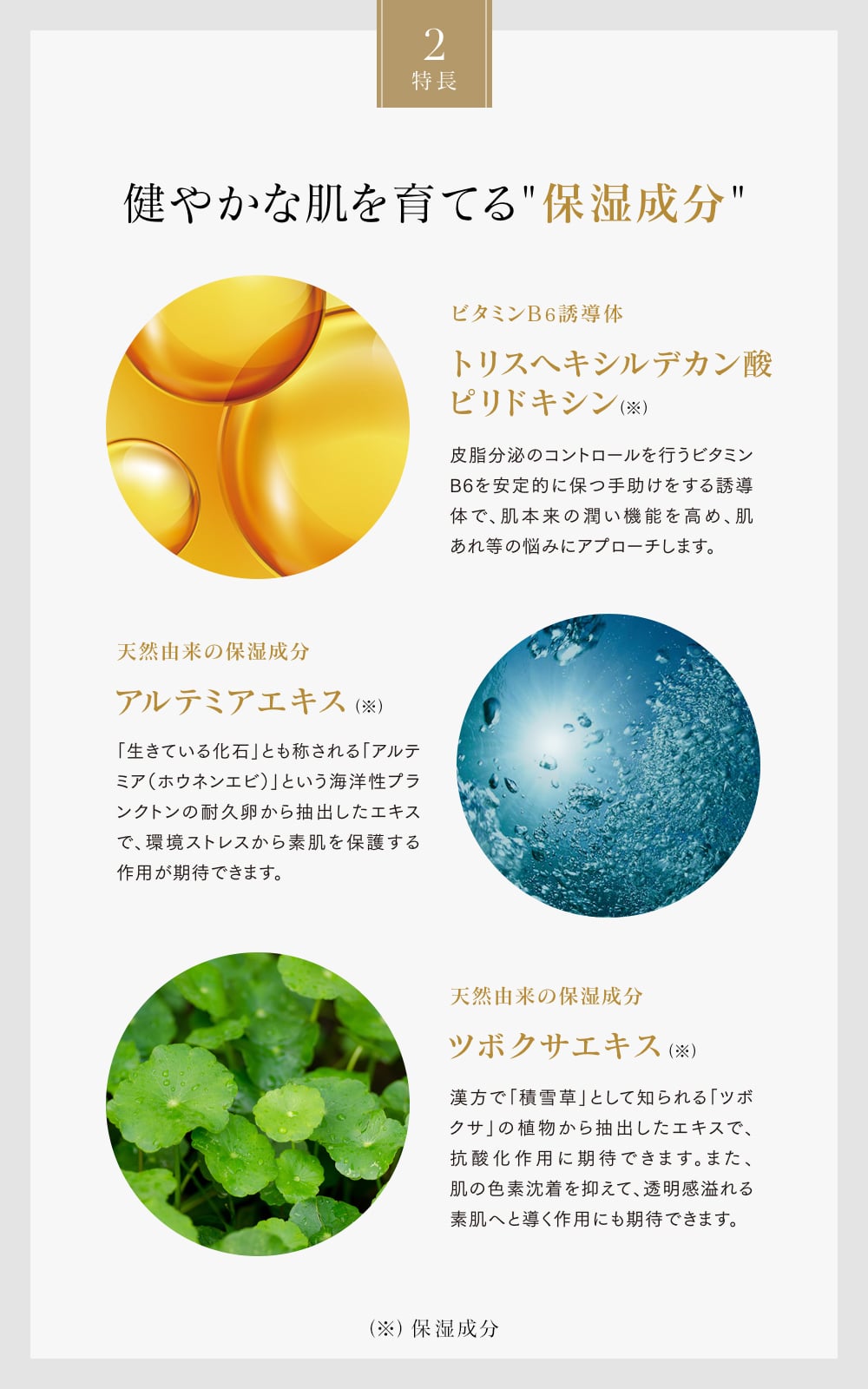 INNATUS｜SKINCARE W THE SERUM 30TH – イナータスオンラインストア